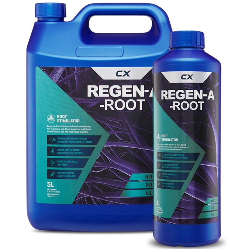 CX Canadian Xpress - Regen A Root