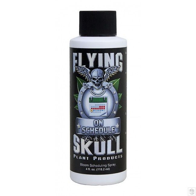 Flying Skull - On Schedule 250ml