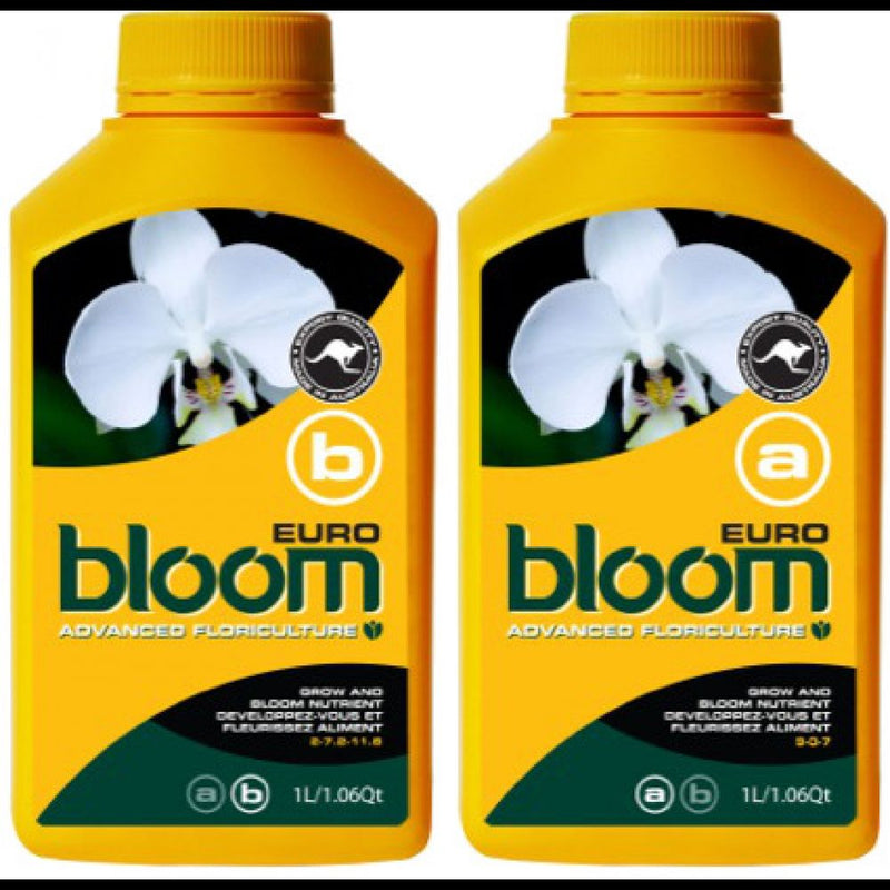 Bloom Yellow Bottles - Euro A&B