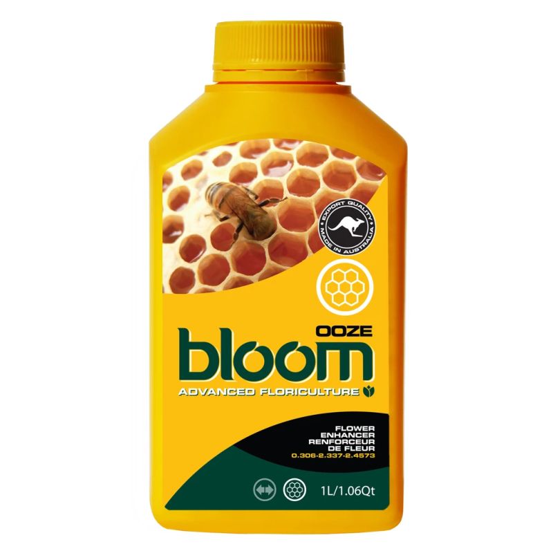 Bloom Yellow Bottles - Ooze
