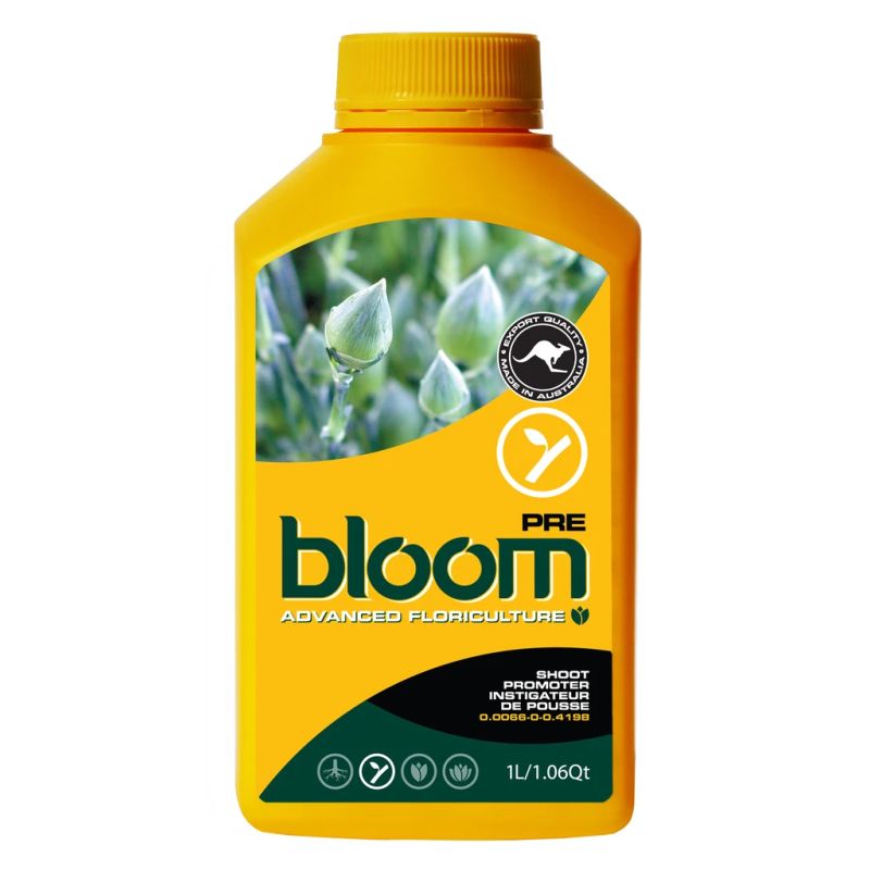 Bloom Yellow Bottles - Pre
