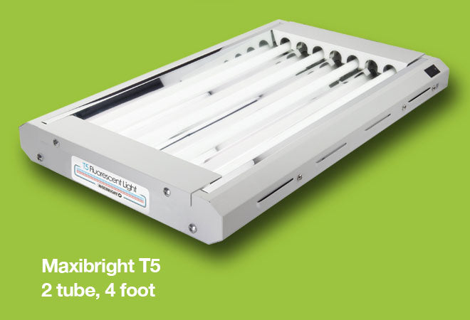 Maxibright T5 Propagation Lights